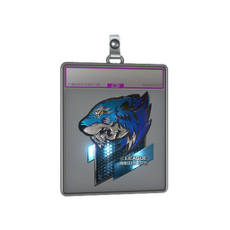 Sticker Slab | Flash Gaming (Foil) | Boston 2018