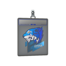 Sticker Slab | Flash Gaming | Boston 2018