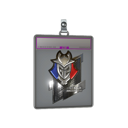 Sticker Slab | G2 Esports (Foil) | Boston 2018