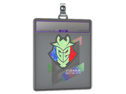 Sticker Slab | G2 Esports (Holo) | Boston 2018