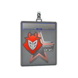 Sticker Slab | G2 Esports | Cluj-Napoca 2015