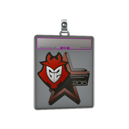 Sticker Slab | G2 Esports (Foil) | Cluj-Napoca 2015