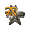 Sticker | Fnatic | Cluj-Napoca 2015