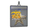 Sticker Slab | Fnatic | Cluj-Napoca 2015