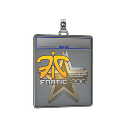 Sticker Slab | Fnatic | Cluj-Napoca 2015