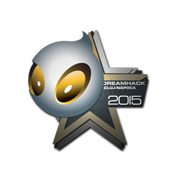 Team Dignitas | Клуж-Напока-2015