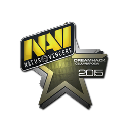 Natus Vincere | Клуж-Напока-2015