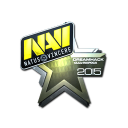 Natus Vincere (металлическая) | Клуж-Напока-2015