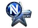 Sticker | Team EnVyUs (Foil) | Cluj-Napoca 2015