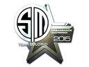 Sticker | Team SoloMid (Foil) | Cluj-Napoca 2015