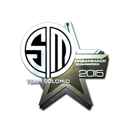 Team SoloMid (металлическая) | Клуж-Напока-2015