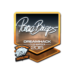 pashaBiceps (Foil) | Cluj-Napoca 2015