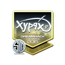 Xyp9x (металлическая) | Клуж-Напока-2015