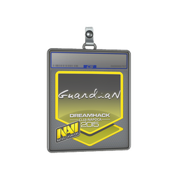 Sticker Slab | GuardiaN | Cluj-Napoca 2015