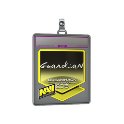 Sticker Slab | GuardiaN (Foil) | Cluj-Napoca 2015