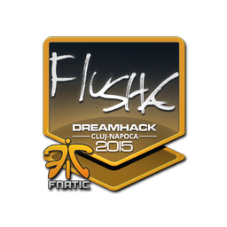 flusha | Клуж-Напока-2015
