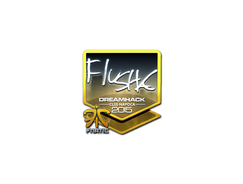 Наліпка | flusha (лискуча) | Клуж-Напока 2015
