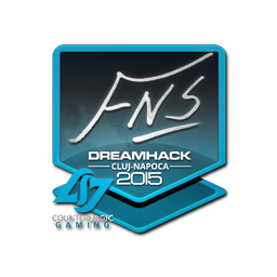FNS | Клуж-Напока-2015