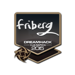 friberg | Клуж-Напока-2015
