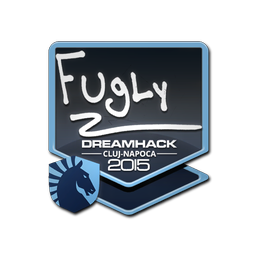FugLy | Клуж-Напока-2015