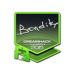 bondik | Клуж-Напока-2015