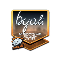 byali (металлическая) | Клуж-Напока-2015