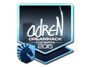 Sticker | adreN (Foil) | Cluj-Napoca 2015