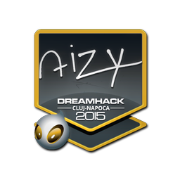 aizy | Клуж-Напока-2015