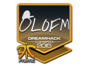 Sticker | olofmeister | Cluj-Napoca 2015