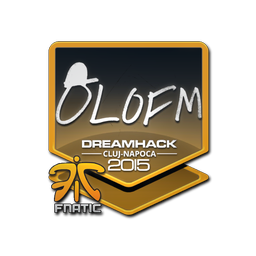 olofmeister | Клуж-Напока-2015