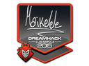Sticker | Maikelele | Cluj-Napoca 2015