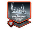 Sticker | Maikelele (Foil) | Cluj-Napoca 2015