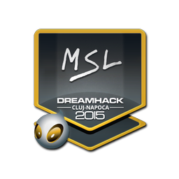 MSL | Клуж-Напока-2015