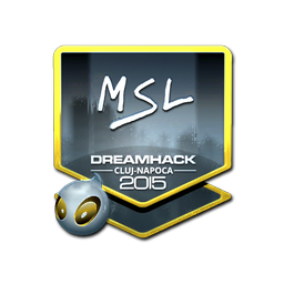 MSL (Foil) | Cluj-Napoca 2015