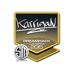 karrigan | Клуж-Напока-2015