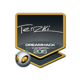 tenzki | Клуж-Напока-2015