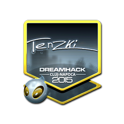 tenzki (Foil) | Cluj-Napoca 2015