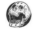 Sealed Graffiti | Rising Skull