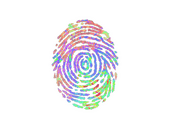 Sticker | Evidence (Holo)