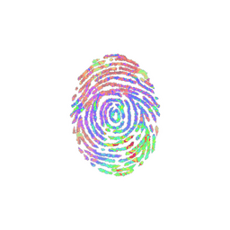 Evidence (Holo)