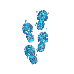 CT Tracks (Glitter)
