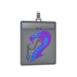Sticker Slab | Drukhari 2