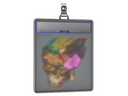 Sticker Slab | Lorena