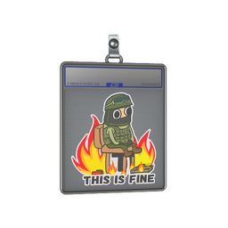 Sticker Slab | This Is Fine (CT)