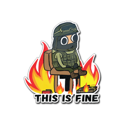 This Is Fine (CT)