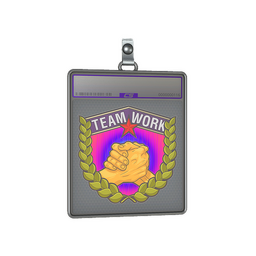 Sticker Slab | Teamwork (Holo)