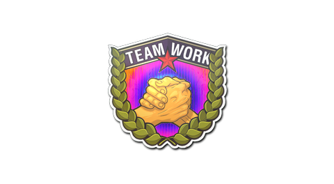 Sticker | Teamwork (Holo)