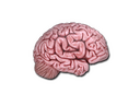 Sticker | CS On The Mind