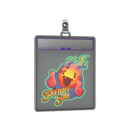 Sticker Slab | Friendly Fire (Holo)