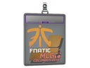 Sticker Slab | Fnatic (Holo) | MLG Columbus 2016